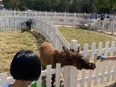 -前小桔亲子创意农场·草莓采摘·露营烧烤