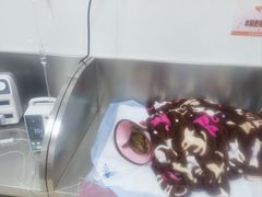 -派美特宠物医院·核磁CT·骨科肿瘤·疑难转诊(沈农禾丰店)