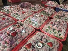 -菜园坝水果市场