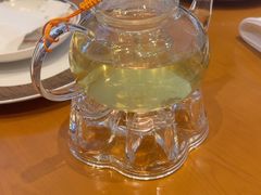 -广州富力君悦大酒店空中花园