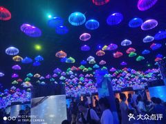 -洛阳龙门海洋馆