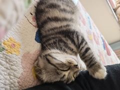 -宠颐生·恒爱宠物医院(静海店)