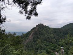 -南山植物园