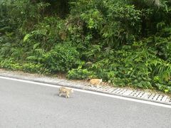 -广州市帽峰山景区
