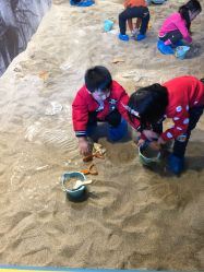 -恐龙探索乐园(磁器口店)