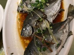 -强记海鲜·大排档(蛇口新街店)