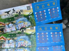 -西双版纳原始森林公园
