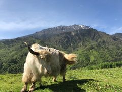 -硗碛藏寨·神木垒景区