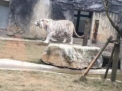 -黔灵山公园