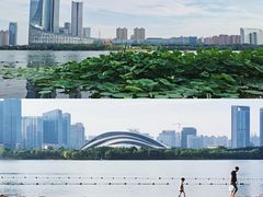 -天鹅湖体育公园