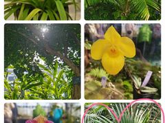 -国家植物园南园