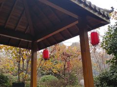 -郑州银基黄帝宫御温泉