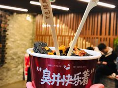-黑色经典臭豆腐·湖南特产(潇湘文化店)