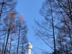 -帽儿山国家森林公园