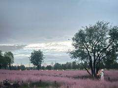 -汉长安城未央宫国家考古遗址公园