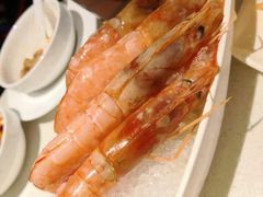 活虾-海底捞火锅(德辉广场店)