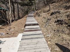 -北京十三陵国家森林公园蟒山景区