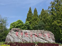 -东平国家森林公园