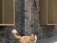 -庭院小酌(瑞莲街店)