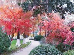 -狼山风景名胜区