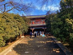 -灵谷景区