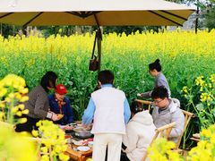 -中国天府农业博览园