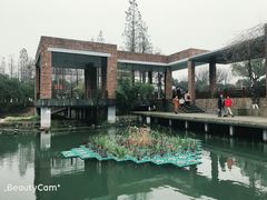 -青枫公园