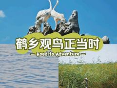 -黑龙江扎龙生态旅游区