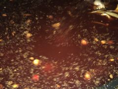 -金海椒罐罐鲢鱼(东方桂苑店)