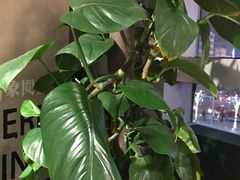 -矢量咖啡(万象汇店)