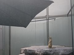 -仲盛世界商城