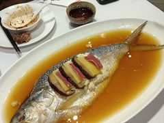 -新吉士·上海菜(浦东LCM置汇旭辉店)