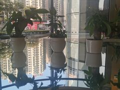 -奈雪的茶(凯德新都心店)