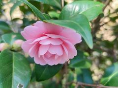 -河姆渡遗址博物馆