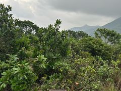 -尖沙咀