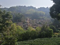 -杨家堂村
