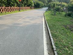 -广州市流溪河国家森林公园