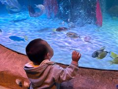 -沈阳海洋探索中心