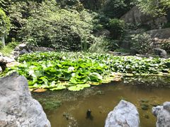 -云龙山