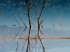 -野鸭湖国家湿地公园