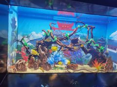 -烟台海昌鲸鲨海洋公园