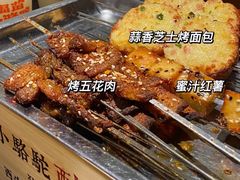 -福苗小骆驼烧烤(莲湖路店)