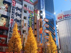 -秋叶原电器街