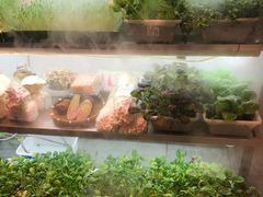 -鲜货俚鲜火锅(青果路店)