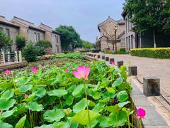 -万源龙顺度假庄园生态观光园