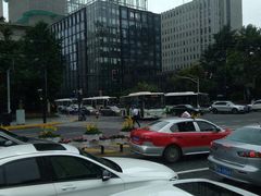 -Husky Go! 哈士奇体验馆·宠物咖啡厅狗咖