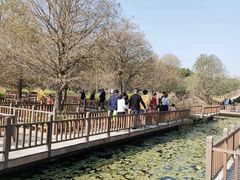 -五缘湾湿地公园