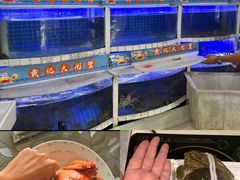 -黄记大闸蟹专卖店·活蟹·醉蟹
