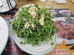 -八次方密云水库鱼粘卷子·熏鸽子·农家菜