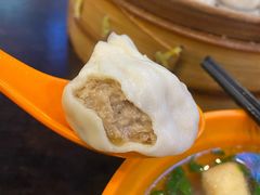 鲜肉小笼-大龙汤包